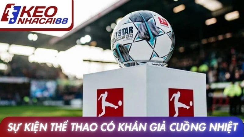 Sự kiện thể thao vua có khán giả cuồng nhiệt